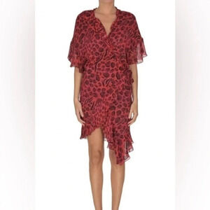 IRO animal print dress